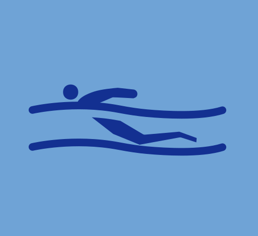 Butterfly Icon